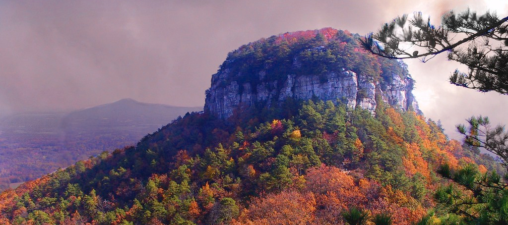 Cultured Wednesday: Pretty Pilot Mountain