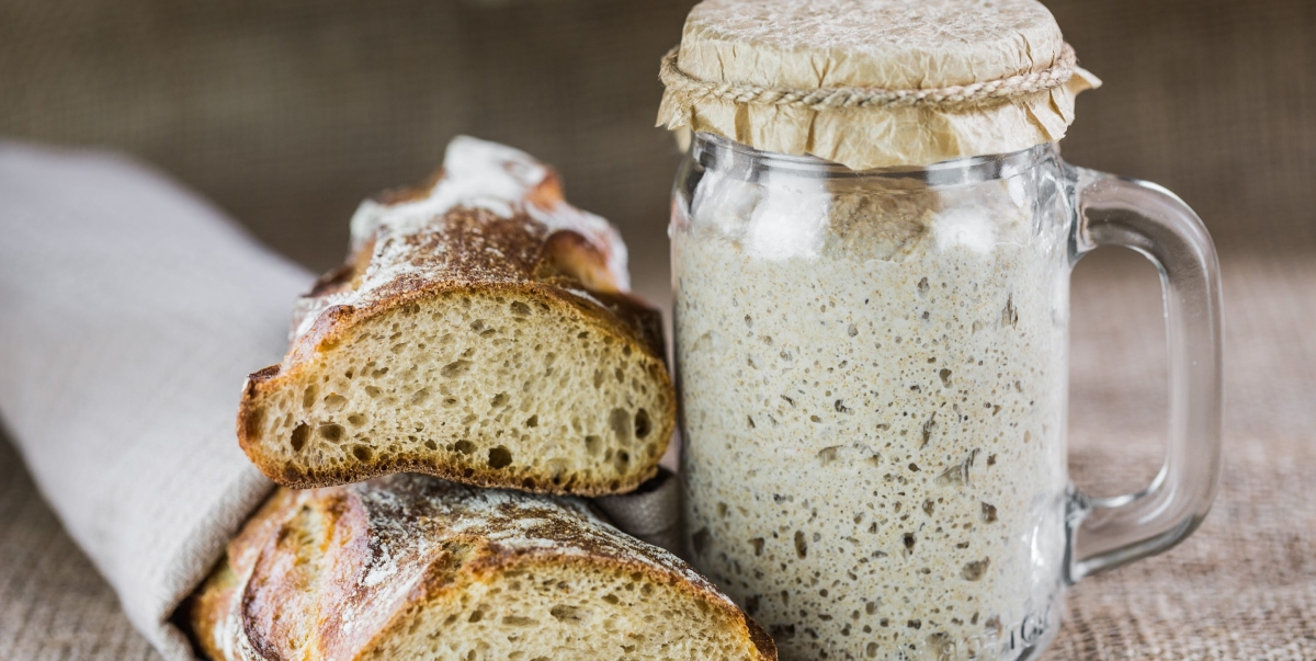 Sourdough Starter and Sourdough Bread Recipe